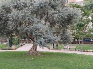 Sanayeh Park Beirut