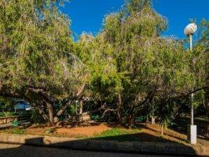 Sioufi Park Beirut