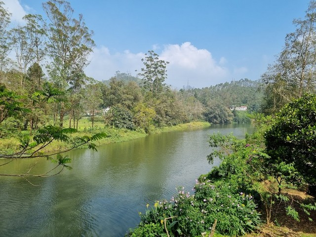Blossom Hydel Park - best things to do in Kerala 