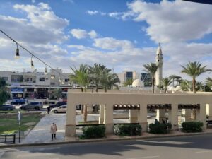 حدائق الحمامات التونسية العقبة