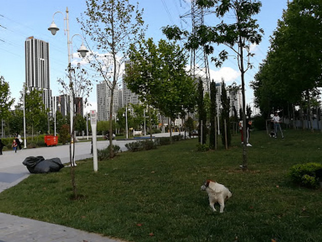 Veterans Park Istanbul