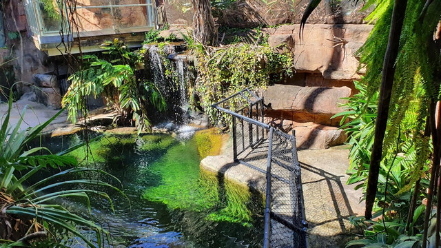 things to do in Sydney with Kids