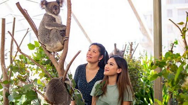 WILD LIFE Sydney Zoo