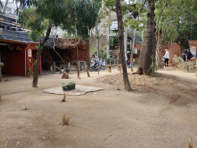 WILD LIFE Sydney Zoo