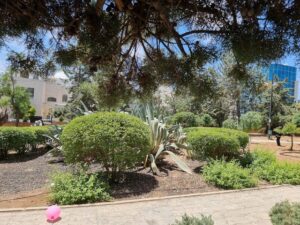Zahran Park Amman