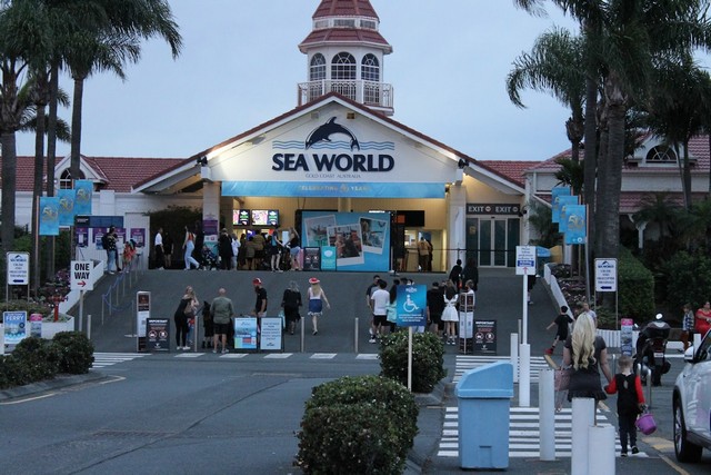 top things to do in Gold Coast