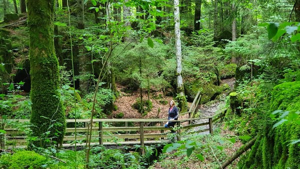 Blausee Lake