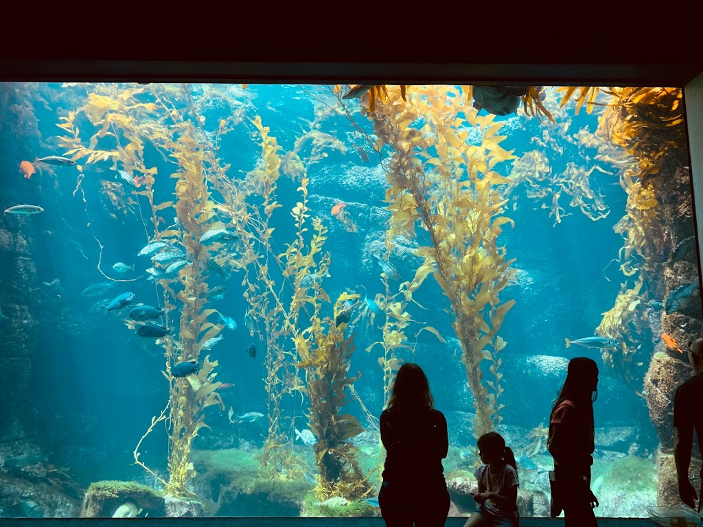 cool things to do in san diego california - most fun things to do in san diego for adults - most fun things to do in san diego for couples