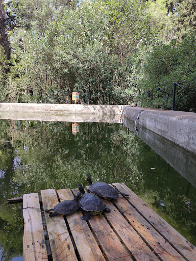 Diomidous Botanical Garden
