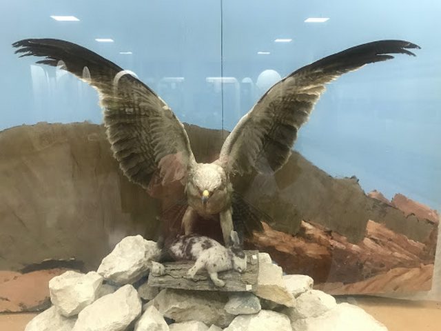 Al Ain National Museum