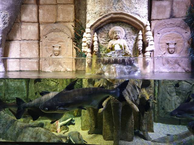 Antalya Aquarium