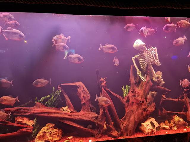 Antalya Aquarium