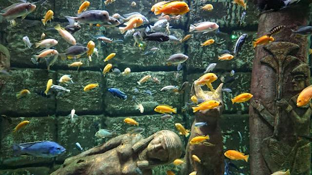 Antalya Aquarium