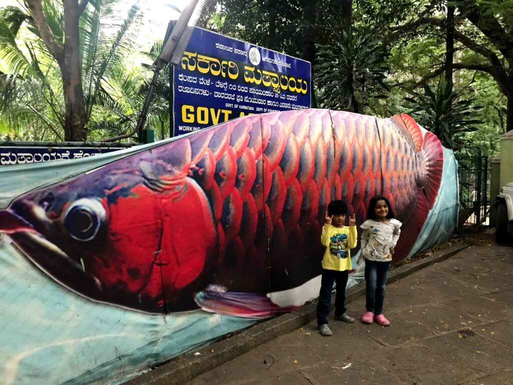 entertainment in Bengaluru