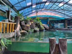 أكواريوم تونكو عبد الرحمن بينانج - Aquarium Tunku Abdul Rahman - things to do in Penang with Kids