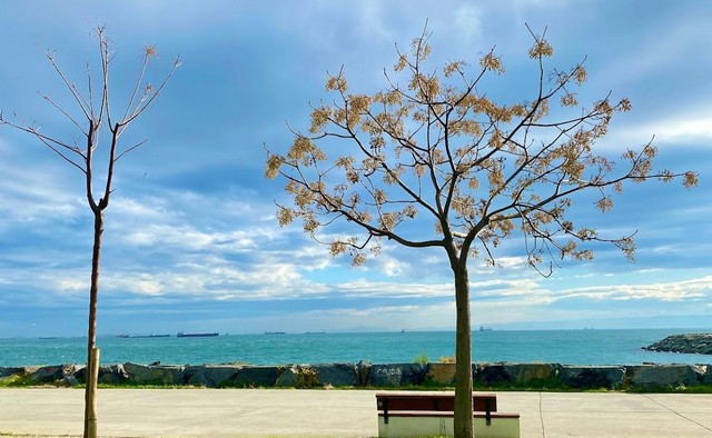 best beaches in Istanbul