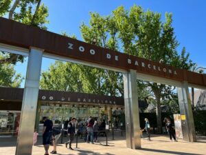 Barcelona Zoo _ things to do in Barcelona with family