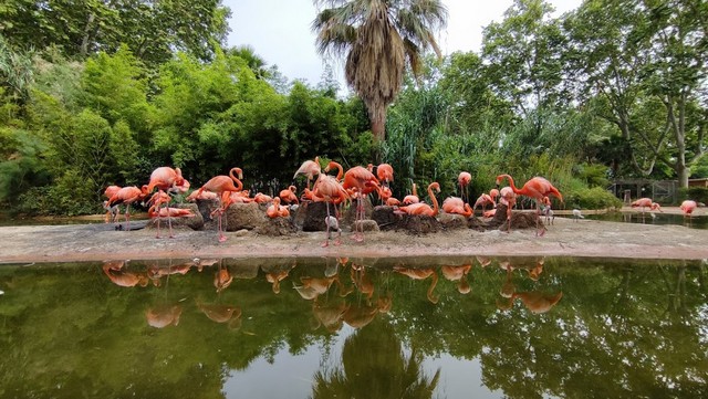 Barcelona Zoo