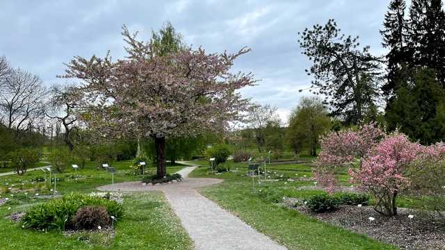 Bergius Botanic Garden