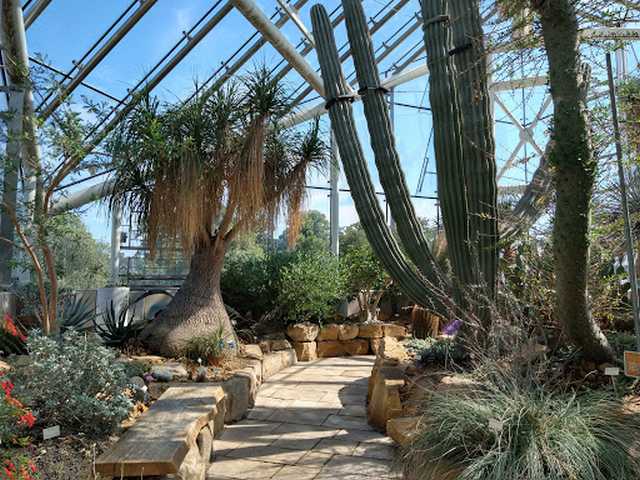 Bergius Botanic Garden