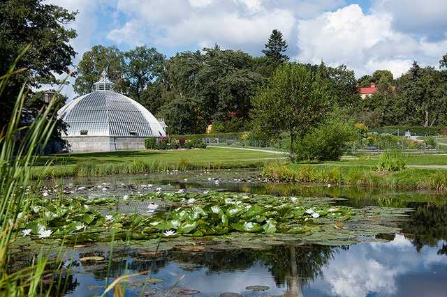 Bergius Botanic Garden