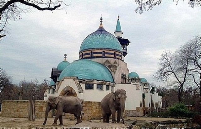 Budapest Zoo