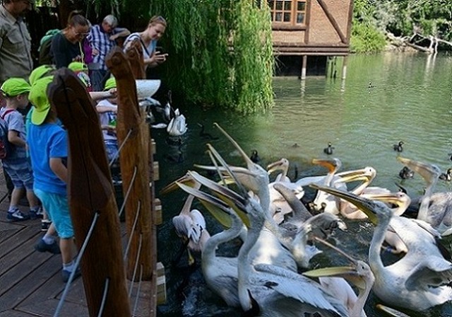 Budapest Zoo