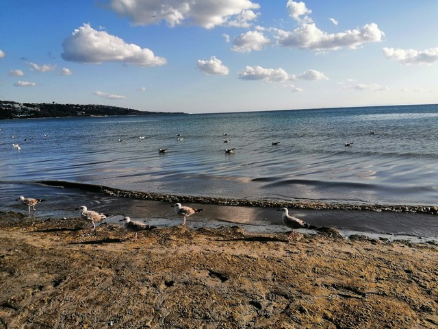 Istanbul beaches