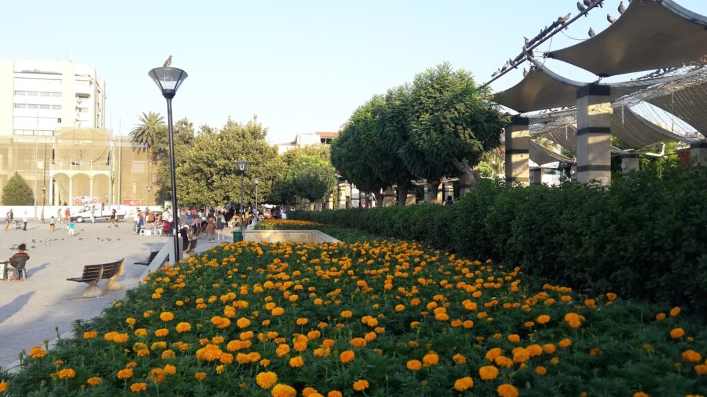 ميدان كوناك