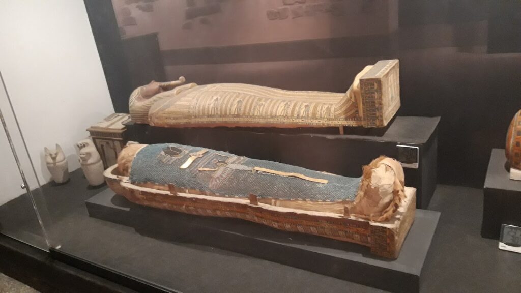  متحف التحنيط الاقصر