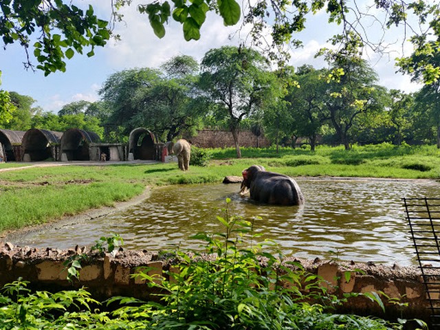 best things to do in New Delhi India