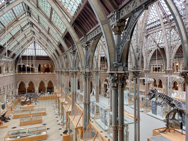Pitt Rivers Museum Oxford