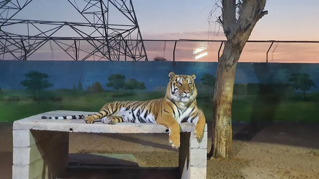 Zoo Park in Ras al Khaimah