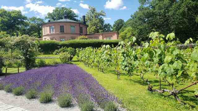 Rosendals Garden