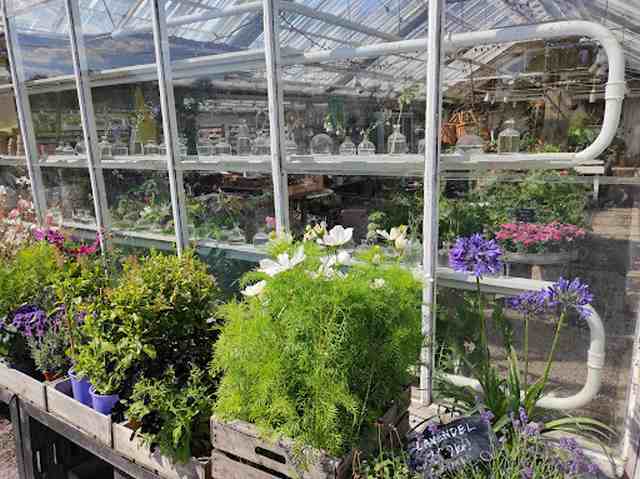 Rosendals Garden