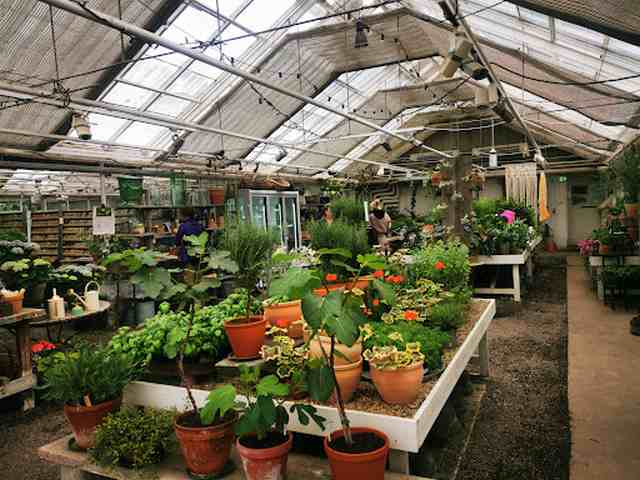 Rosendals Garden Stockholm