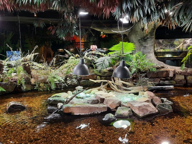 Melbourne Aquarium