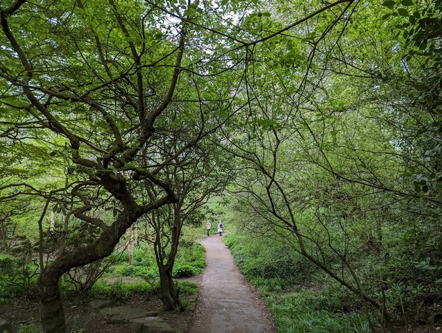 Botanical Gardens Sheffield