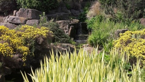 Botanical Gardens Sheffield