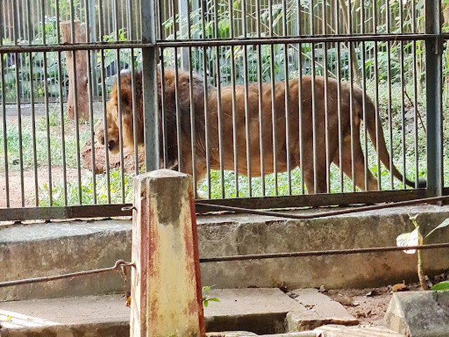 State Museum and Zoo Thrissur