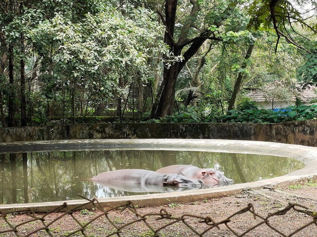 Thrissur Zoo
