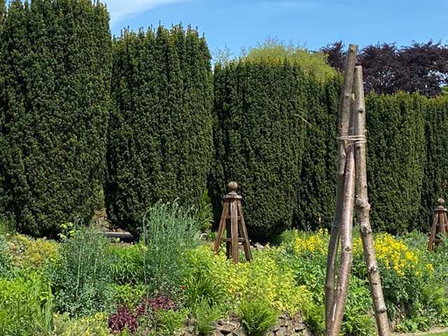 Winterbourne Gardens