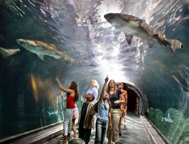 most fun things to do in Philadelphia