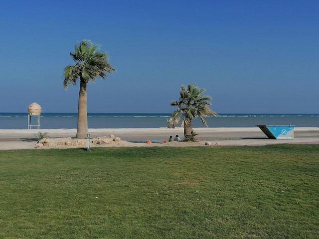 top things to do in Ahsa