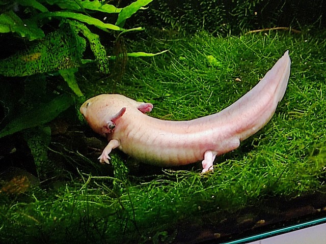 Aquarium Barcelona