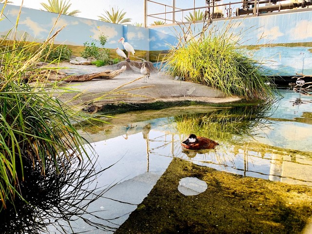 Aquarium of the Pacific Los Angeles