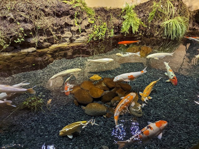 Paris Aquarium