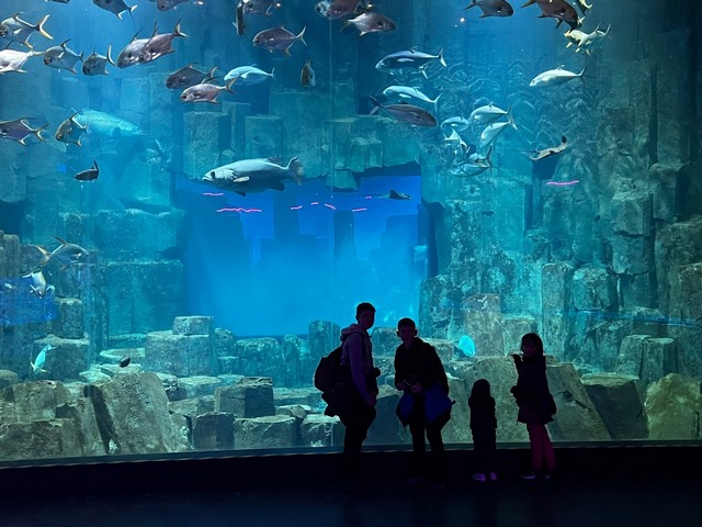 things to do in Paris with kids