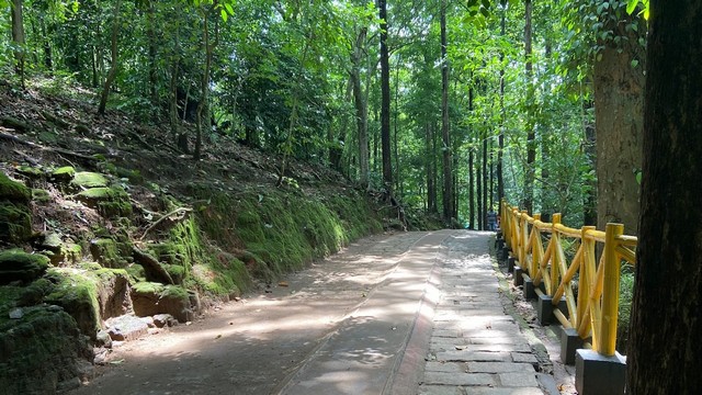 Athirappilly Waterfall