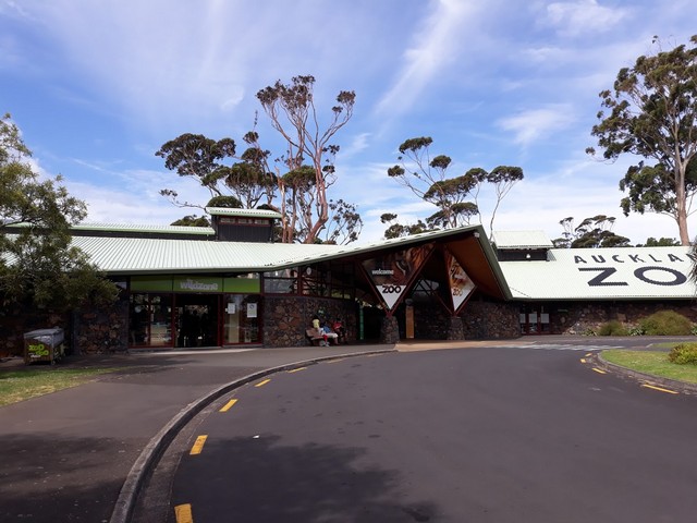 best things to do in Auckland New Zealand